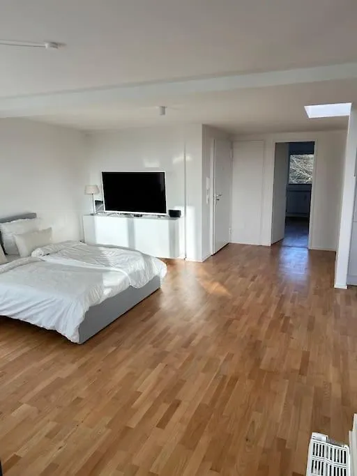 Apartment Ferienwohnung Aussenalster Penthouse Charakter Hamburg