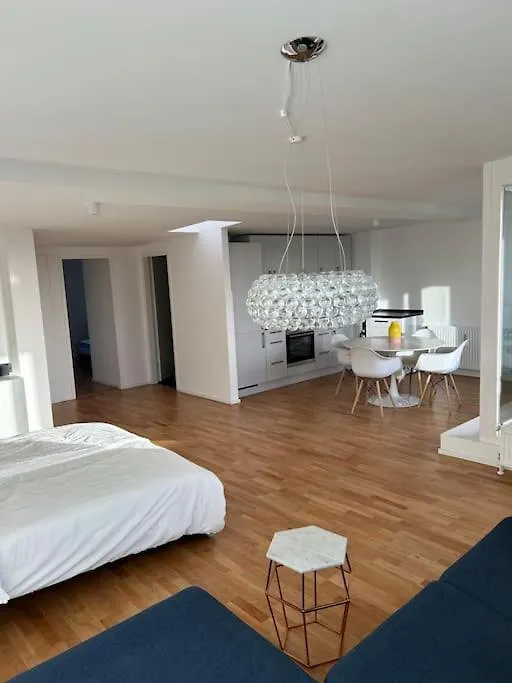 Aussenalster Penthouse Charakter Apartment Hamburg 0*,
