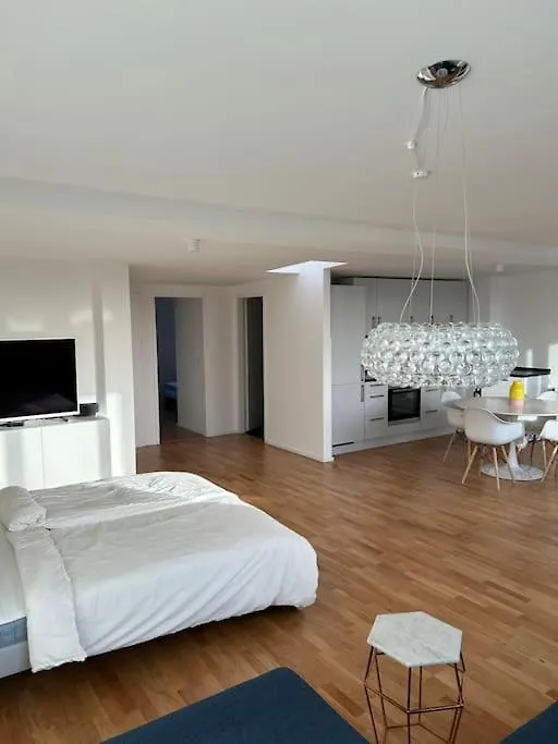 Aussenalster Penthouse Charakter Apartment Hamburg